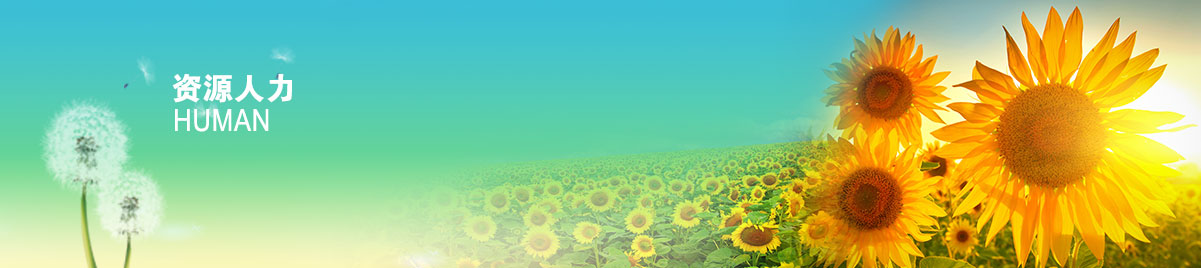 welcome-��������